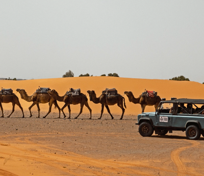 Camel power in the dunes. @ore4x4uk